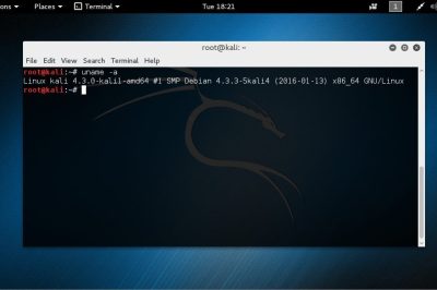 Релиз нового варианта известнейшего дистрибутива Linux для хакеров