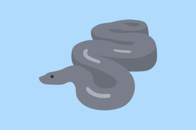 Python-библиотеки, которые пригодятся каждому разработчику на Python